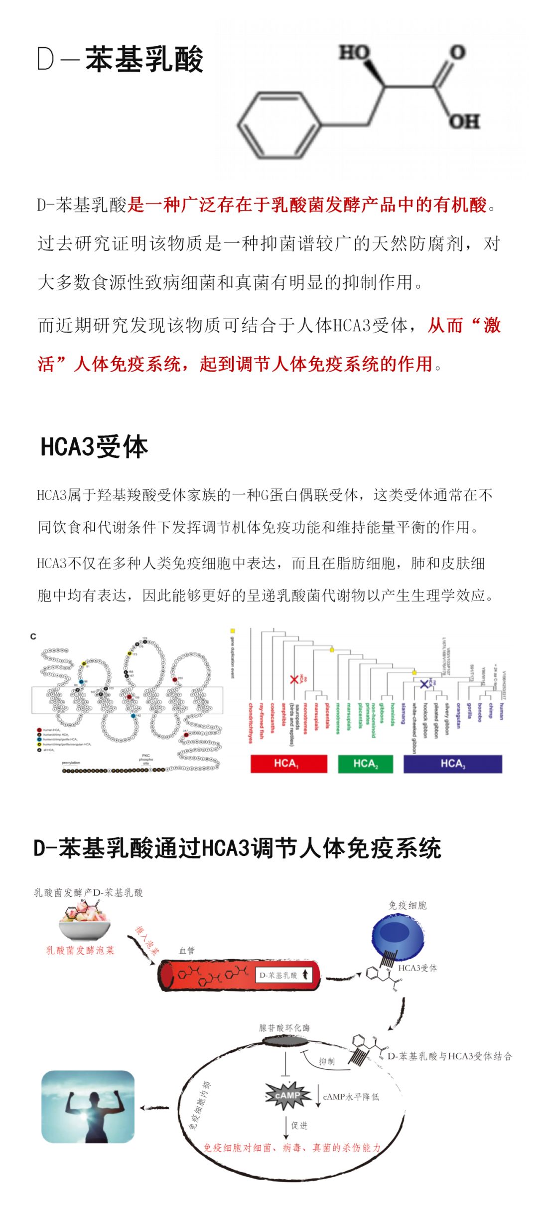 微信圖片_20200723140116.jpg